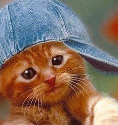 mignon