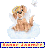 bonne journée